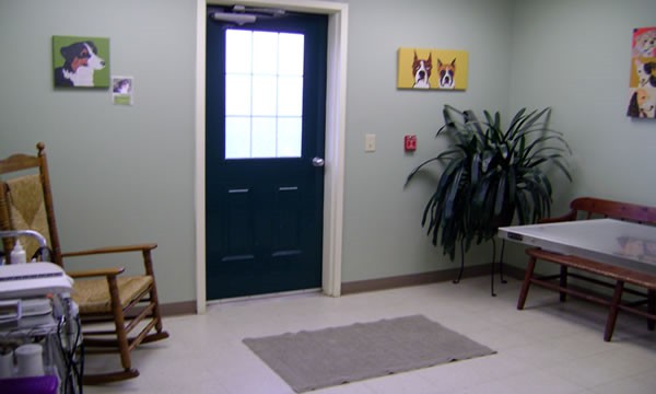 Blackwater Veterinary Services Exam Room