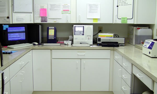 Blackwater Veterinary Services In-House Lab.