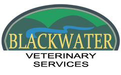 Blackwater Veterinarian