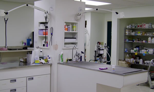 Blackwater Veterinary Services Treatment Room.